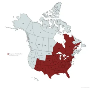 Range map of butterfly weed (Asclepias tuberosa) in the United States and Canada.