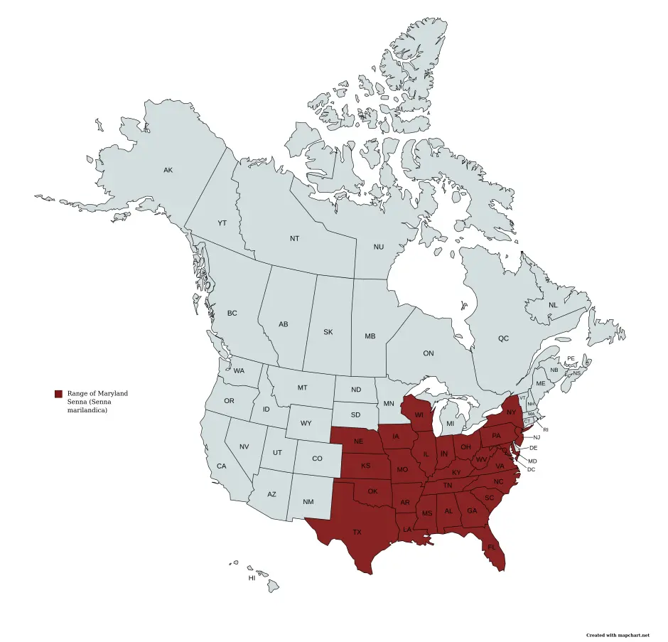 Range of Maryland senna (Senna marilandica) in the United States and Canada.