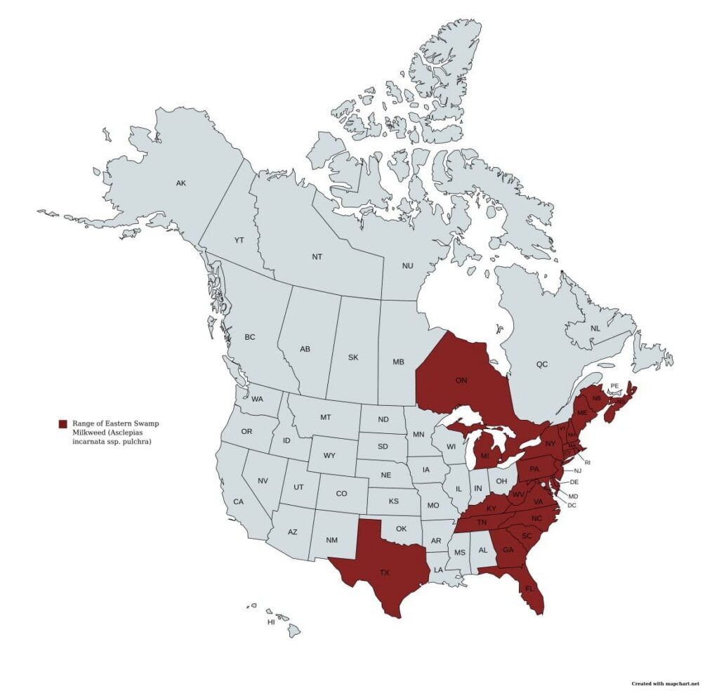 Range of Asclepias incarnata ssp. pulchra