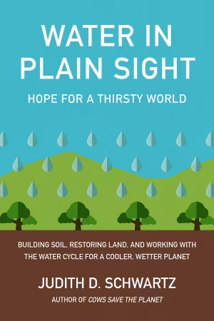 Front cover of Water in Plain Sight by Judith D. Schwartz.