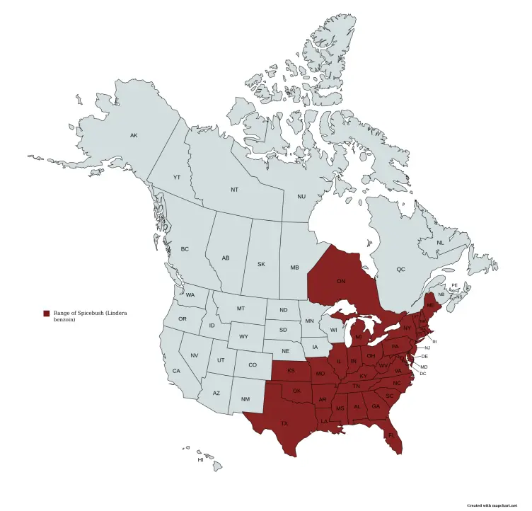 Range map of Spicebush (Lindera benzoin) in the United States and Canada.