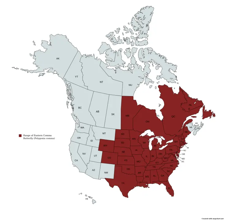 Range map of the eastern comma butterfly (Polygonia comma) in the United States and Canada.
