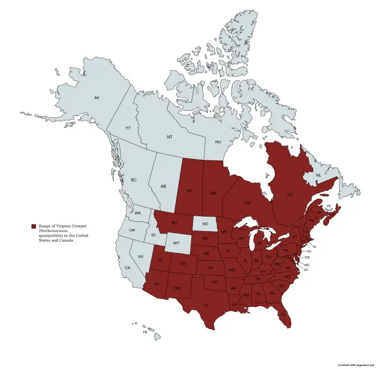 Range map of Virginia Creeper (Parthenocissus quinquefolia) in the United States and Canada.