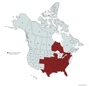 Range map of purple coneflower (Echinacea purpurea) in the United States and Canada.