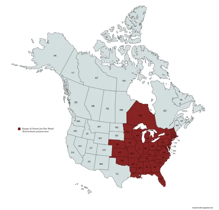 Range map of sweet joe-pye-weed (Eutrochium purpureum) in the United States and Canada.