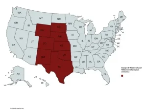Range map of Western Sand Milkweed (Asclepias arenaria) in the United States.