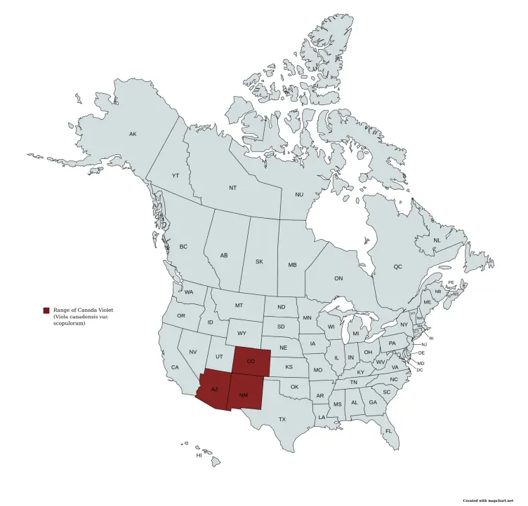Range Map of Canada Violet (Viola canadensis var. scopulurum).
