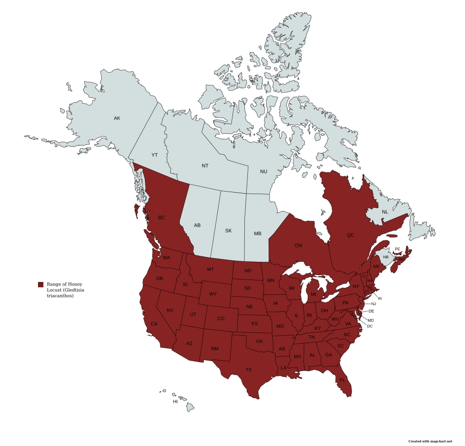 Range Map of Honey Locust (Gleditsia triacanthos) in the United States and Canada.