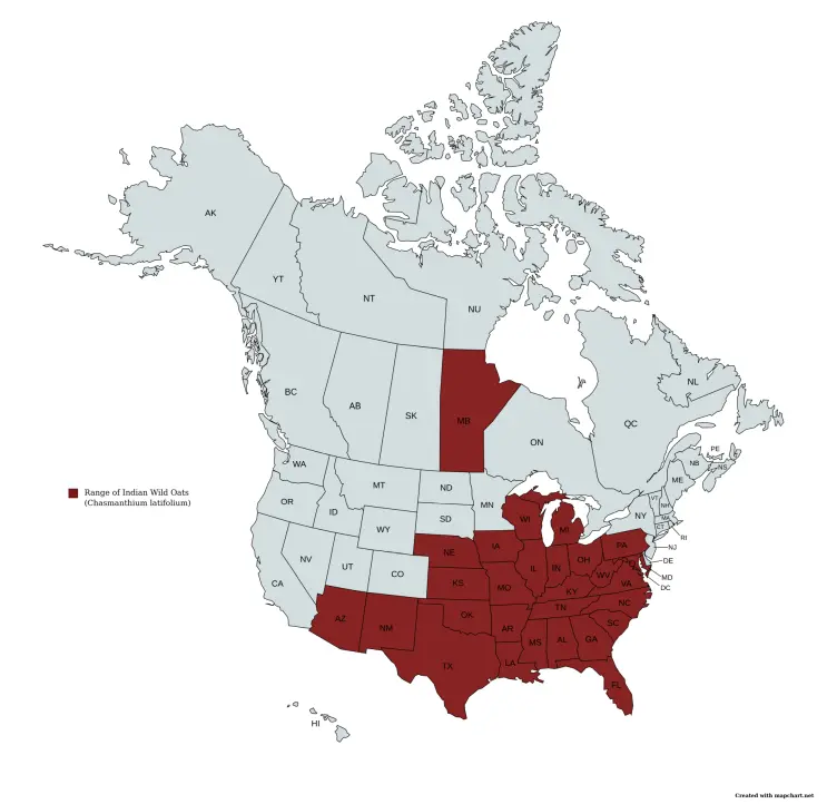 Range map of Indian Wood Oats (Chasmanthium latifolium).