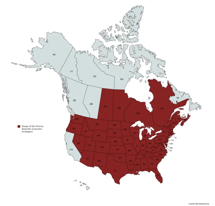Range of the Viceroy butterfly (Limenitis archippus) in the United States and Canada.