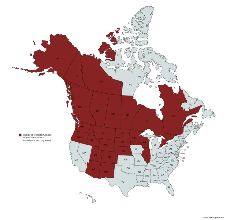 Range Map of Western Canada White Violet (Viola canadensis var. rugulosa).
