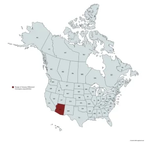 Range map of Arizona Milkweed (Asclepias angustifolia) in the United States and Canada