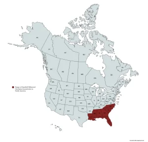 Range map of Sandhill Milkweed (Asclepias humistrata) in the United States and Canada.
