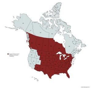 Range map of Green Comet Milkweed (Asclepias viridiflora) in the United States and Canada.
