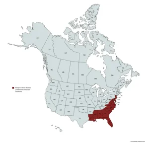 Range map of Pine-barren Goldenrod (Solidago fistulosa) in the United States and Canada.
