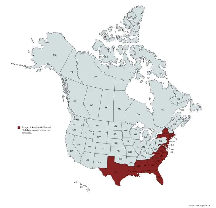 Range map of Seaside Goldenrod (Solidago sempervirens var. mexicana).