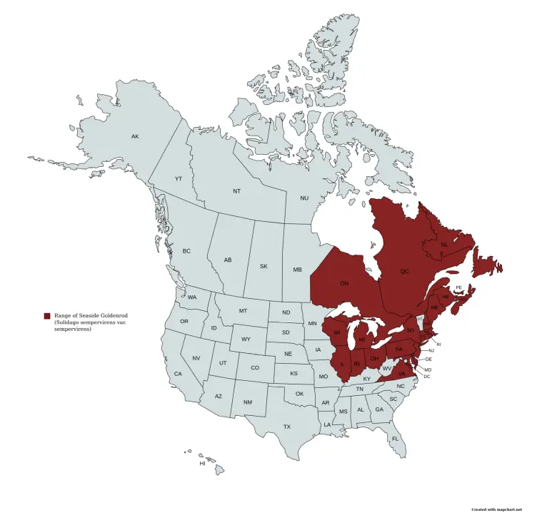 Range map of Seaside Goldenrod (Solidago sempervirens var. sempervirens).