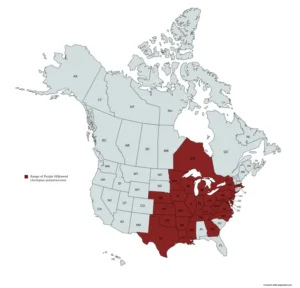Range of purple milkweed (Asclepias purpurascens) in the United States and Canada.