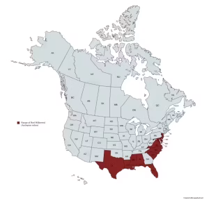 Range map of red milkweed (Asclepias rubra) in the United States and Canada.