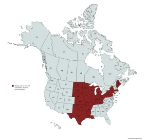Range map of cat-tail gayfeather (Liatris pycnostachya).