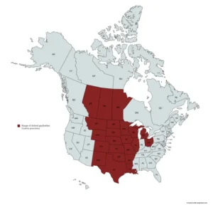 Range map of dotted gayfeather (Liatris punctata) in the United States and Canada.