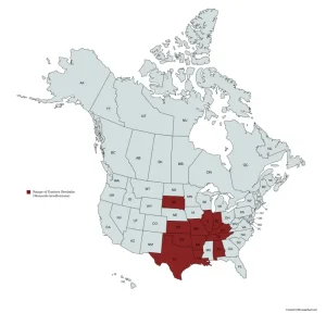 Range map of eastern beebalm (Monarda bradburiana) in the United States and Canada.