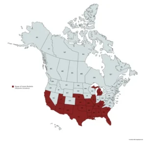 Range map of lemon beebalm (Monarda citriodora) in the United States and Canada.