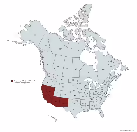 Range map of mojave milkweed (Asclepias nyctaginifolia) in the United States and Canada.