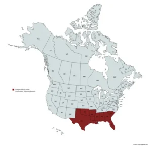 Range map of pink-scale gayfeather (Liatris elegans).