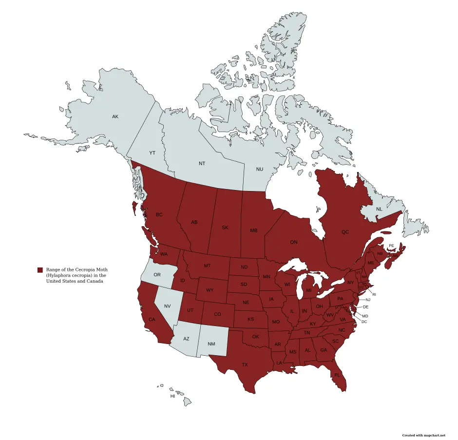 Range map of cecropia moth (Hyalophora cecropia) in the United States and Canada.