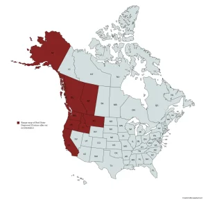 Range of red osier dogwood (Cornus alba var. occidentalis) in the United States and Canada.