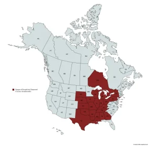 Range of rough-leaf dogwood (Cornus drummondii) in the United States and Canada.