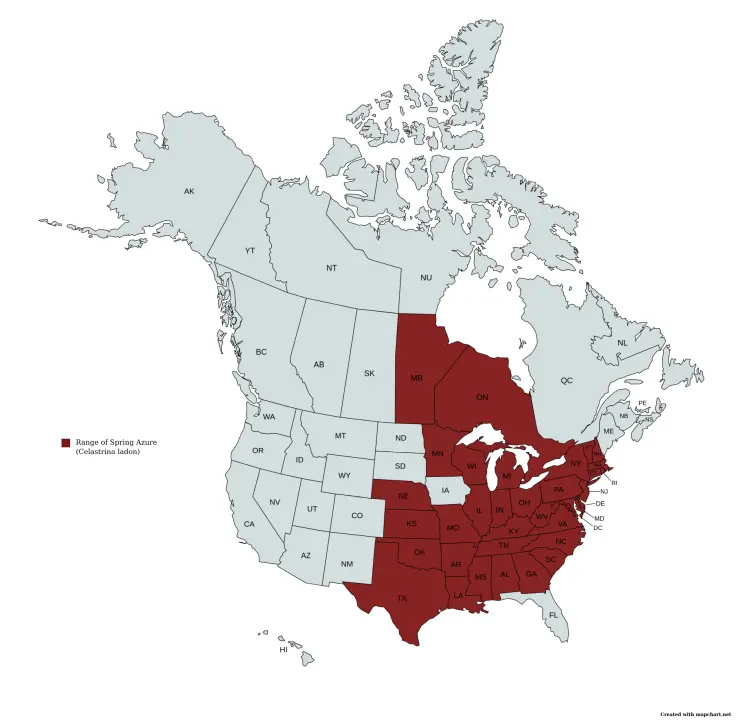 Range of the spring azure (Celastrina ladon) in the United States and Canada.