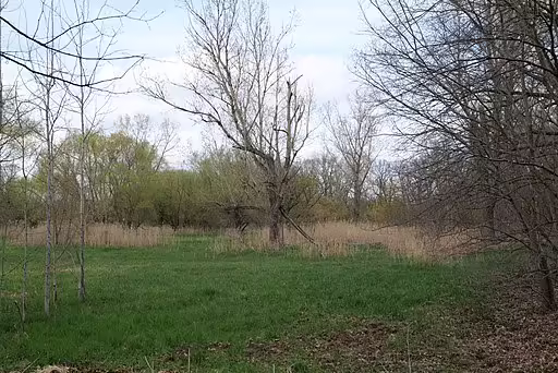 Open riverine floodplain.