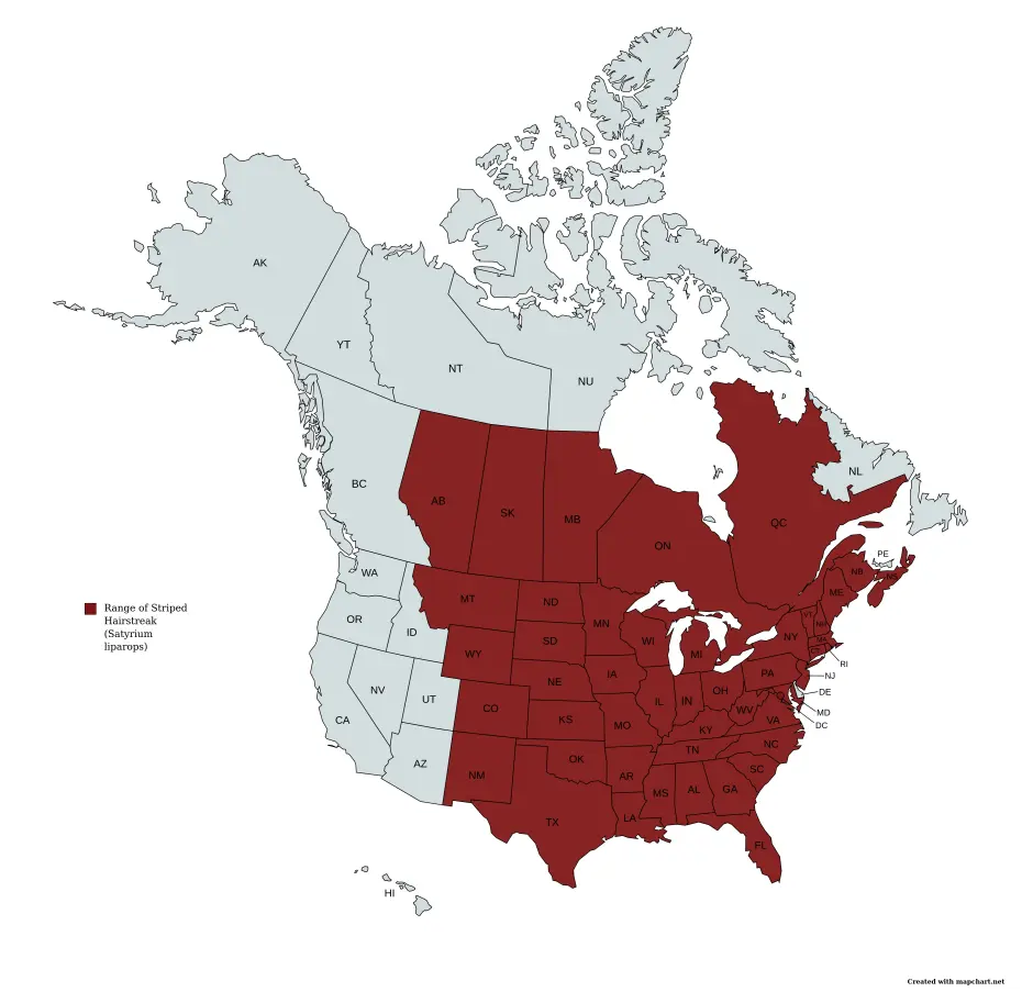 Range map of striped hairstreak (Satyrium liparops) in the United States and Canada.