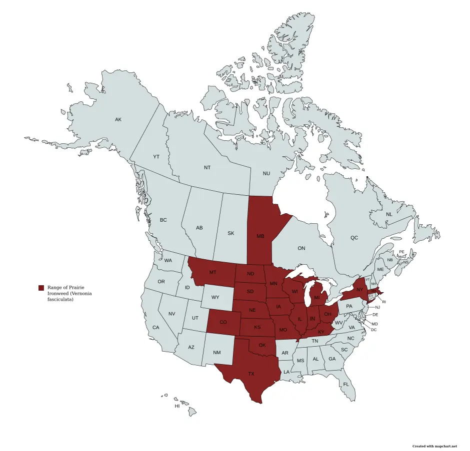 Range map of prairie ironweed (Vernonia fasciculata) in the United States and Canada.