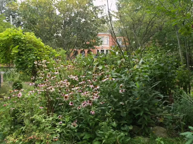 Butterfly garden at McMullen House Bed & Breakfast.