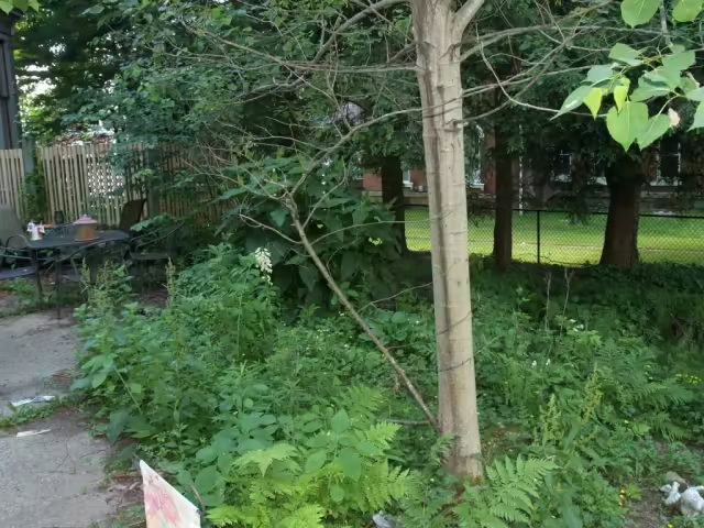 Terrace garden at McMullen House Bed & Breakfast.