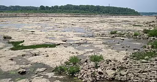 Limestone rivershore habitat along St. Lawrence river in Quebec, Canada.