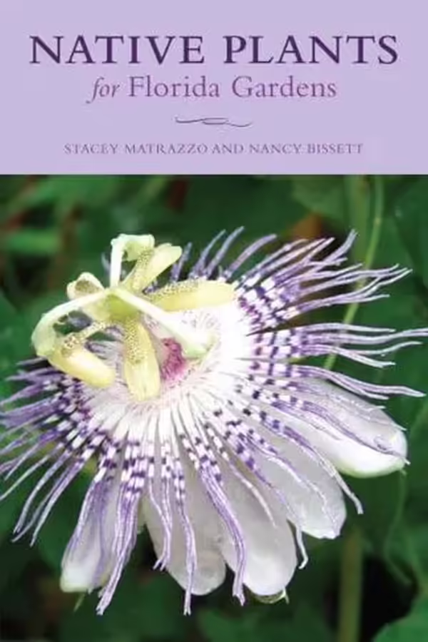 Front cover of Native Plants for Florida Gardens by Stacy Matrazzo and Nancy Bissett.