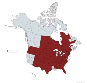 Range map of american plum (Prunus americana) in the United States and Canada.