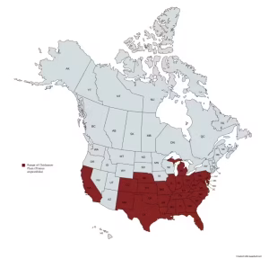 Range map of chickasaw plum (Prunus angustifolia) in the United States and Canada.