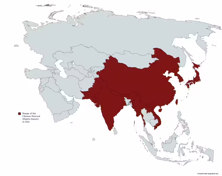 Range map of chinese peacock (Papilio bianor) in Asia.