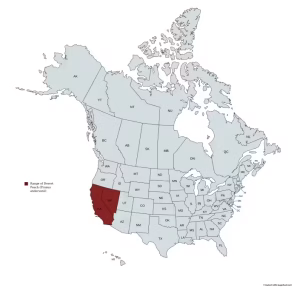 Range map of desert peach (Prunus andersonii) in the United States and Canada.