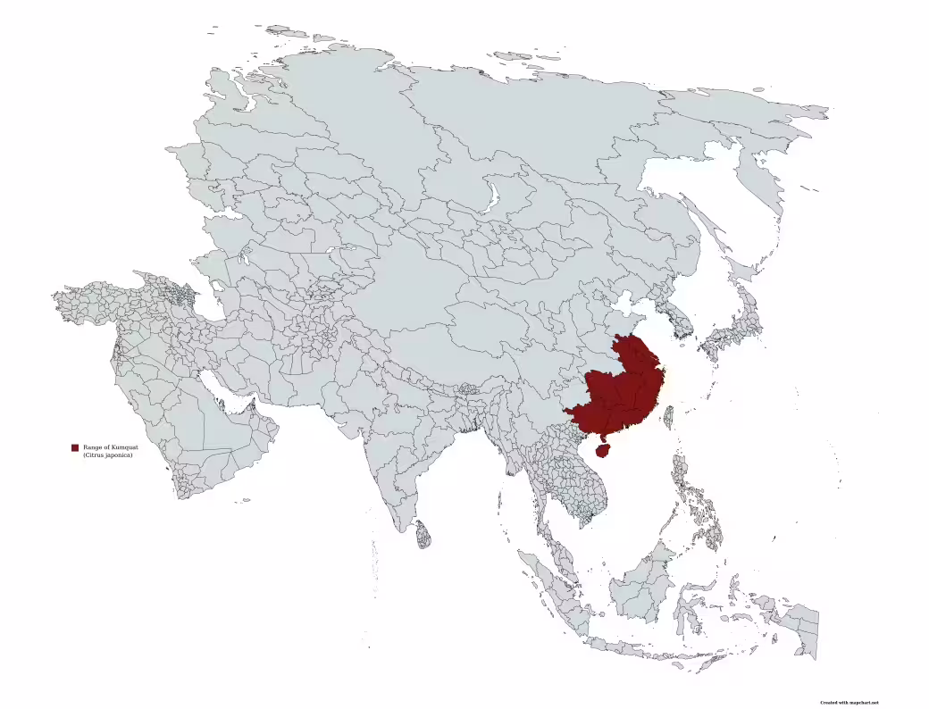 Range map of Kumquat (Citrus japonica) in Asia.