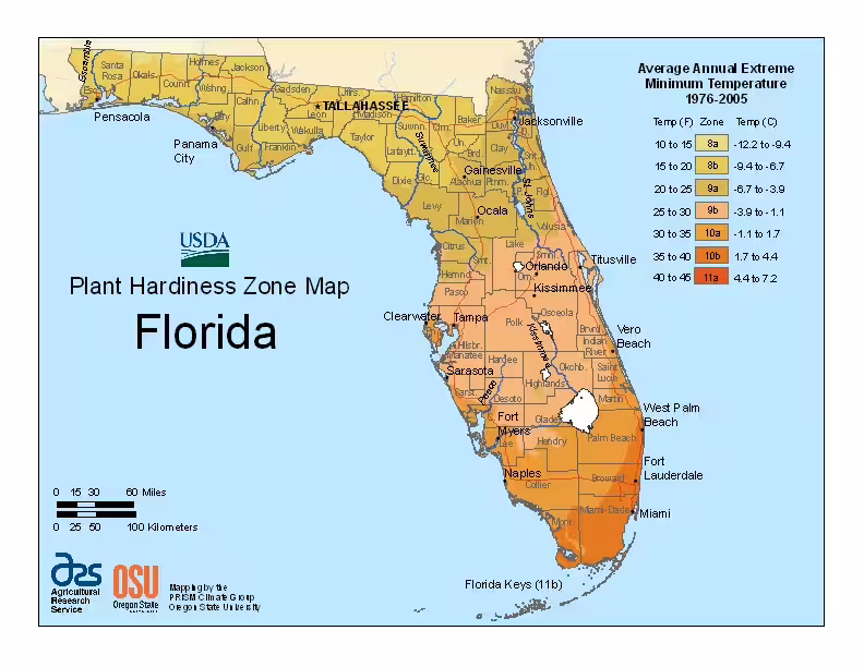 USDA plant hardiness zones in the state of Florida.