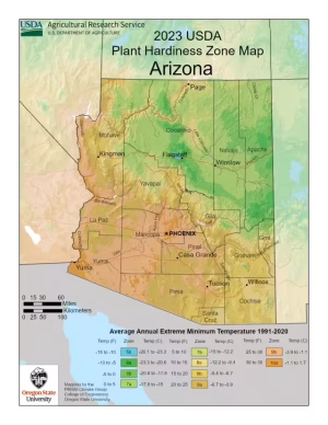 Arizona