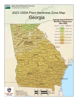 Georgia
