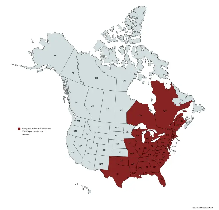 Range map of wreath goldenrod (Solidago caesia var. caesia) in the United States and Canada.