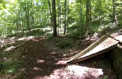 Rocky woods habitat in North Carolina.